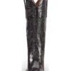 Dan Post Women's Polished Western Boots - Snip Toe -Dan Post 045C37 89 FT