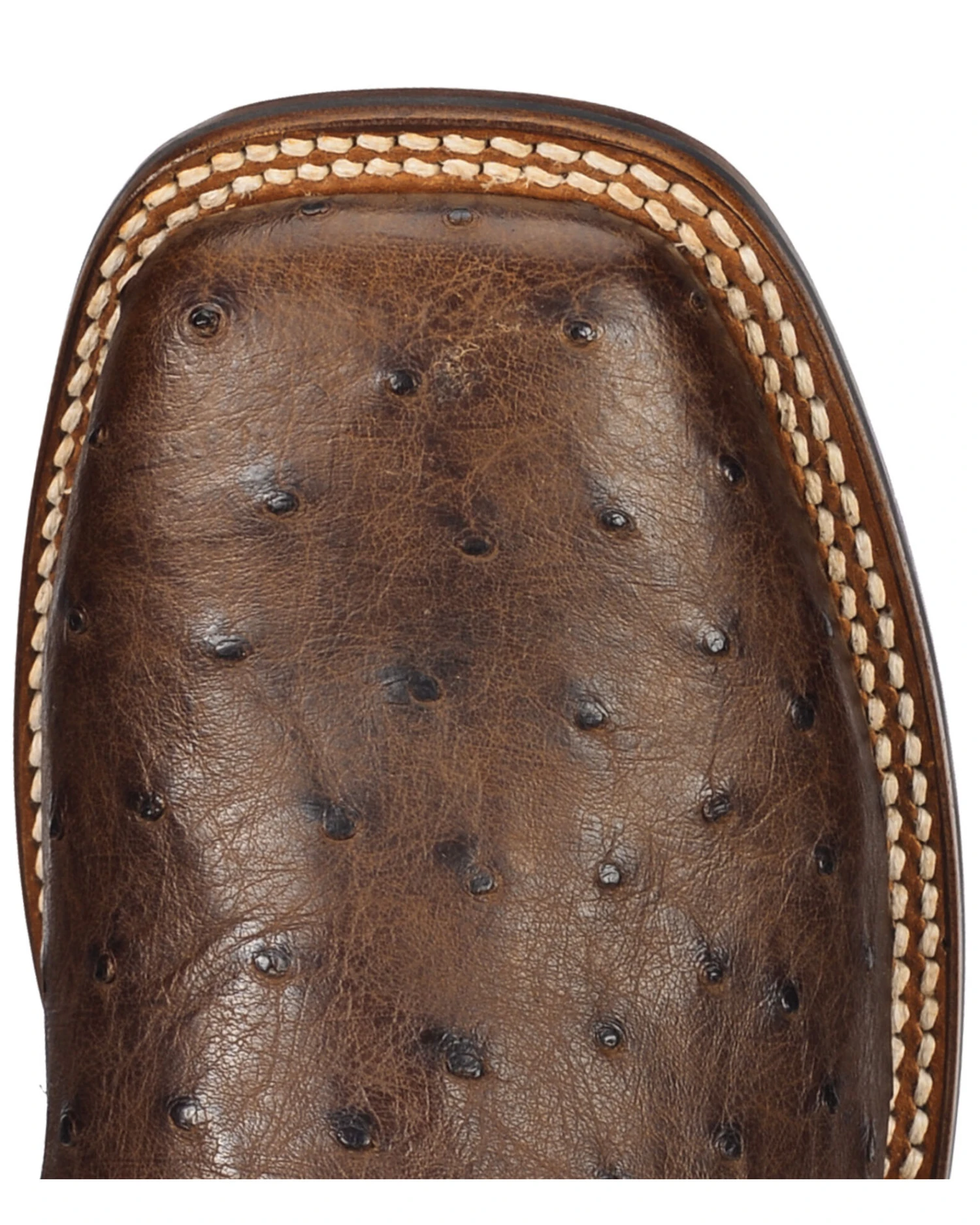 Dan Post Men's Alamosa Full Quill Ostrich Western Boots - Broad Square Toe 8 Dan Post Men's Alamosa Full Quill Ostrich Western Boots - Broad Square Toe - Image 6