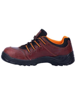 Dan Post Men's Ridge Hiker Shoes - Composite Toe -Dan Post 2000276551 600 P3