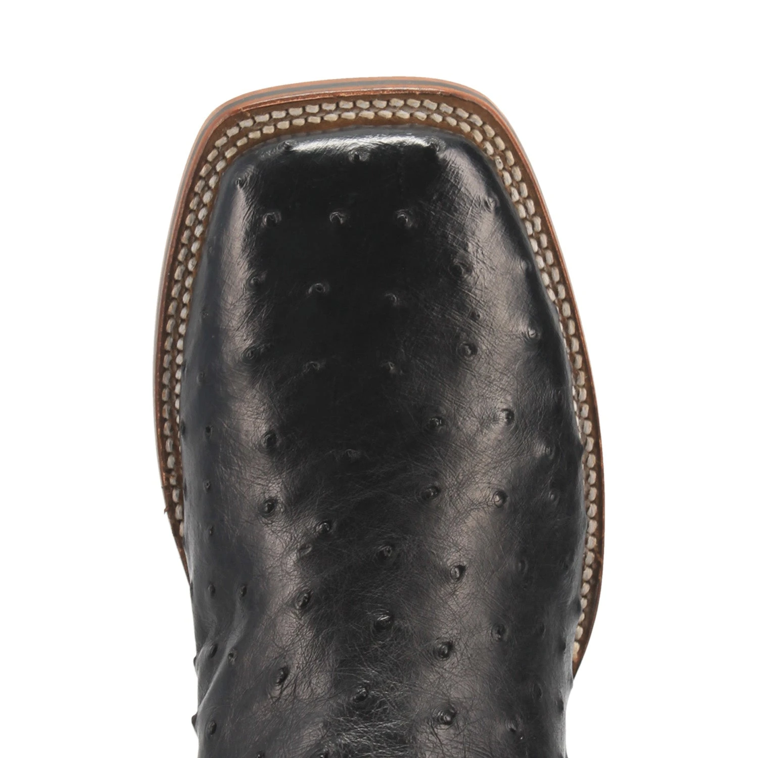 Dan Post ALAMOSA FULL QUILL OSTRICH BOOT 8 Dan Post ALAMOSA FULL QUILL OSTRICH BOOT - Image 6