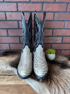 Dan Post Men's Manning Snake & Black Western Round Toe Boots DP3036 -Dan Post IMG 0152 1